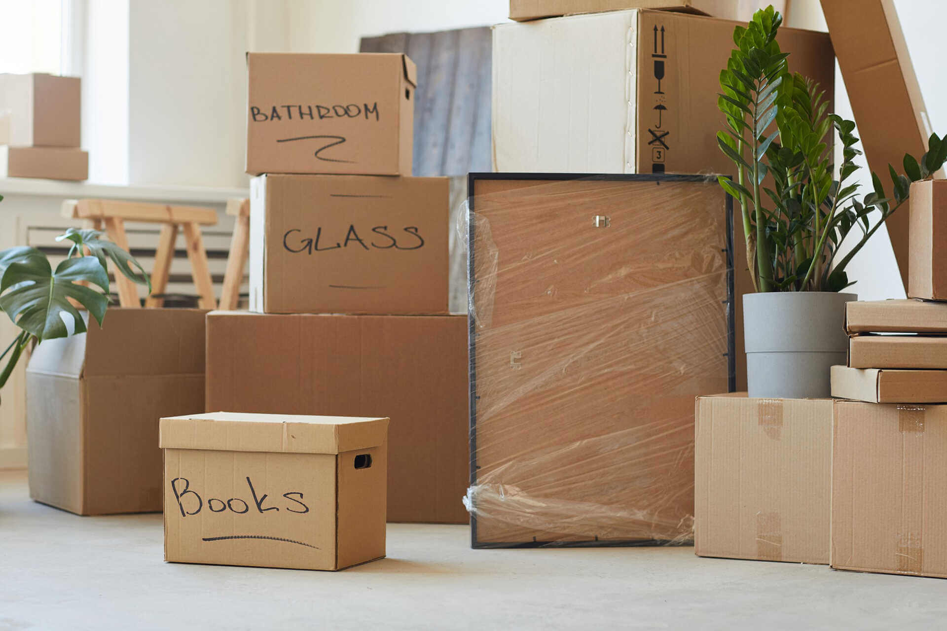 Which packers and movers are good in Milford, CT?